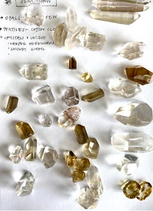 denver gem show during covid-times
